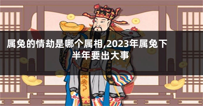 属兔的情劫是哪个属相,2023年属兔下半年要出大事