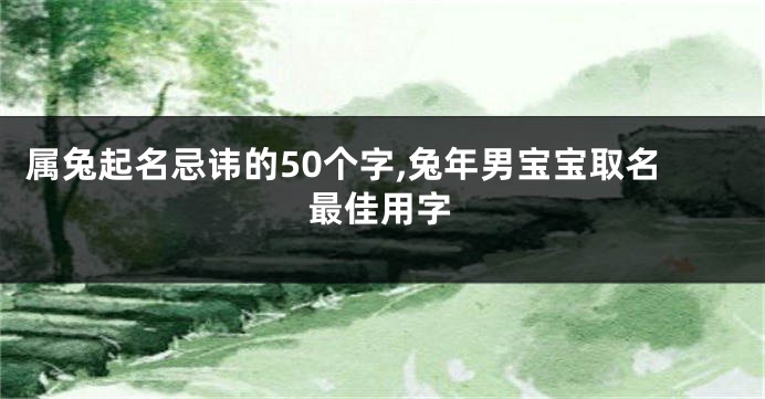 属兔起名忌讳的50个字,兔年男宝宝取名最佳用字