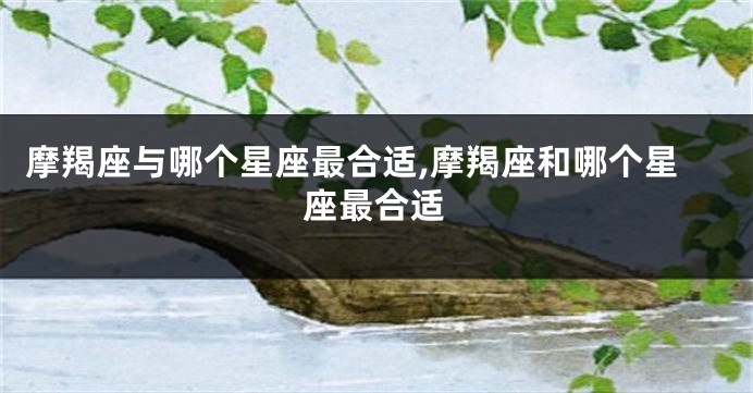 摩羯座与哪个星座最合适,摩羯座和哪个星座最合适
