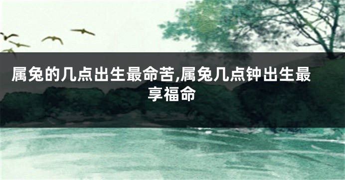 属兔的几点出生最命苦,属兔几点钟出生最享福命