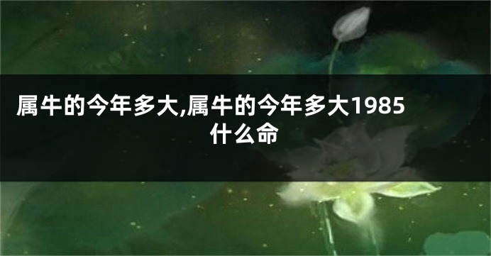 属牛的今年多大,属牛的今年多大1985什么命