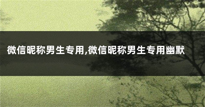 微信昵称男生专用,微信昵称男生专用幽默