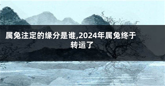 属兔注定的缘分是谁,2024年属兔终于转运了