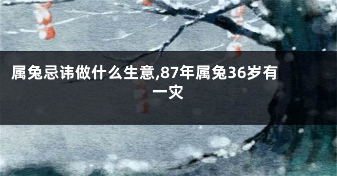 属兔忌讳做什么生意,87年属兔36岁有一灾