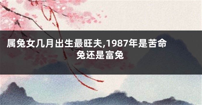 属兔女几月出生最旺夫,1987年是苦命兔还是富兔