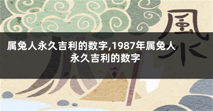 属兔人永久吉利的数字,1987年属兔人永久吉利的数字