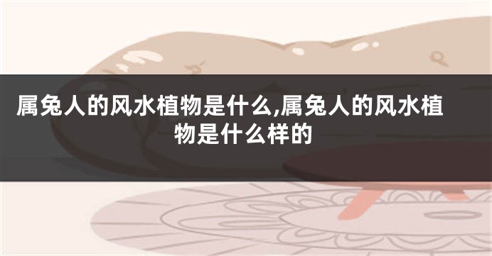 属兔人的风水植物是什么,属兔人的风水植物是什么样的