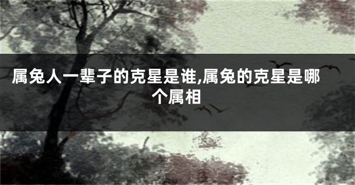 属兔人一辈子的克星是谁,属兔的克星是哪个属相