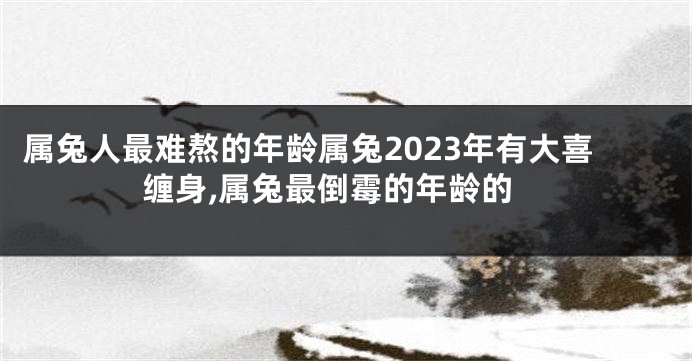 属兔人最难熬的年龄属兔2023年有大喜缠身,属兔最倒霉的年龄的