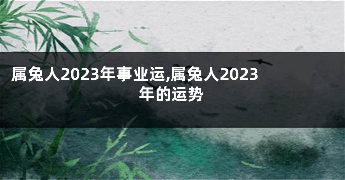 属兔人2023年事业运,属兔人2023年的运势