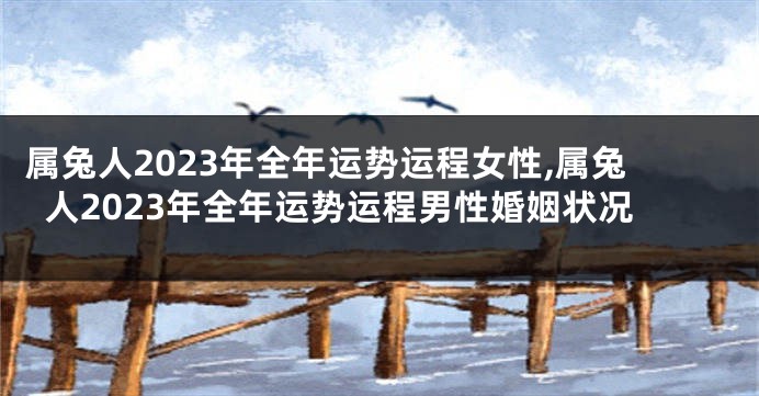 属兔人2023年全年运势运程女性,属兔人2023年全年运势运程男性婚姻状况