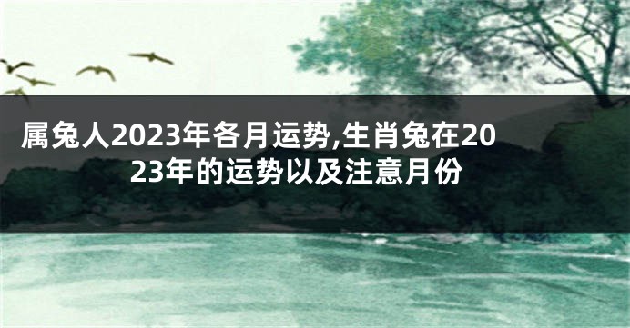 属兔人2023年各月运势,生肖兔在2023年的运势以及注意月份