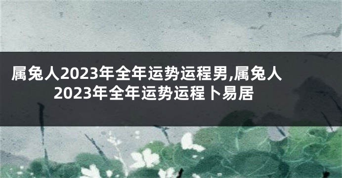 属兔人2023年全年运势运程男,属兔人2023年全年运势运程卜易居