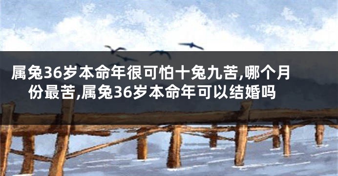 属兔36岁本命年很可怕十兔九苦,哪个月份最苦,属兔36岁本命年可以结婚吗
