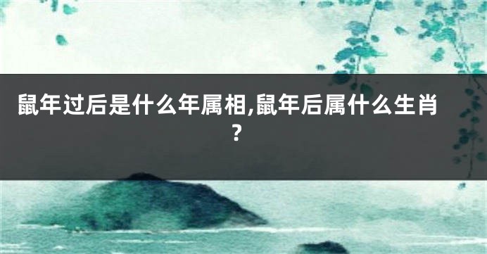 鼠年过后是什么年属相,鼠年后属什么生肖?