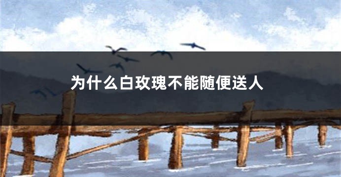 为什么白玫瑰不能随便送人