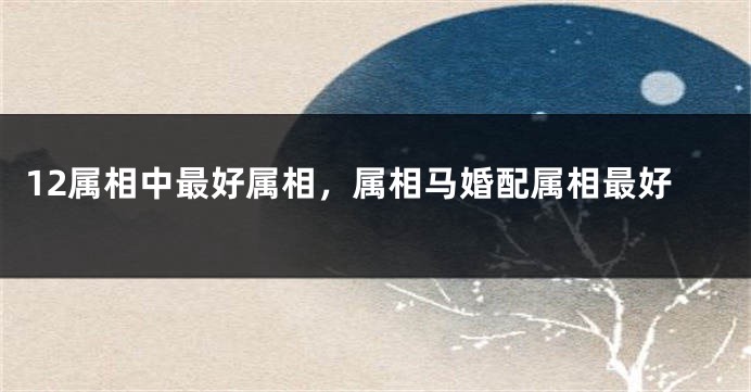 12属相中最好属相，属相马婚配属相最好