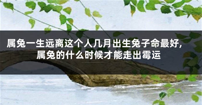 属兔一生远离这个人几月出生兔子命最好,属兔的什么时候才能走出霉运