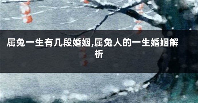 属兔一生有几段婚姻,属兔人的一生婚姻解析
