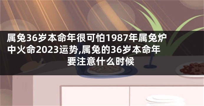 属兔36岁本命年很可怕1987年属兔炉中火命2023运势,属兔的36岁本命年要注意什么时候