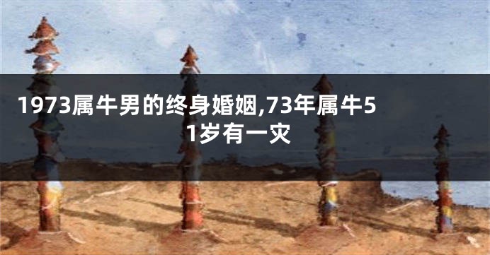 1973属牛男的终身婚姻,73年属牛51岁有一灾