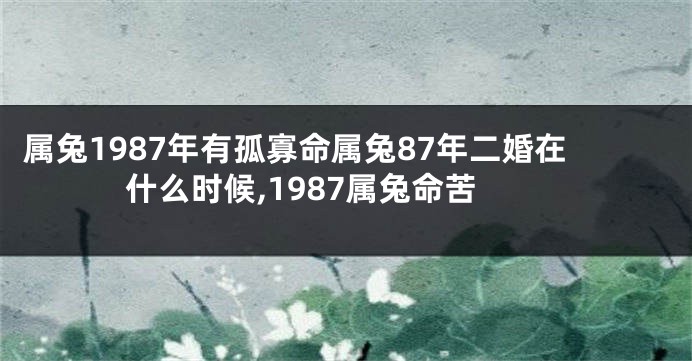 属兔1987年有孤寡命属兔87年二婚在什么时候,1987属兔命苦