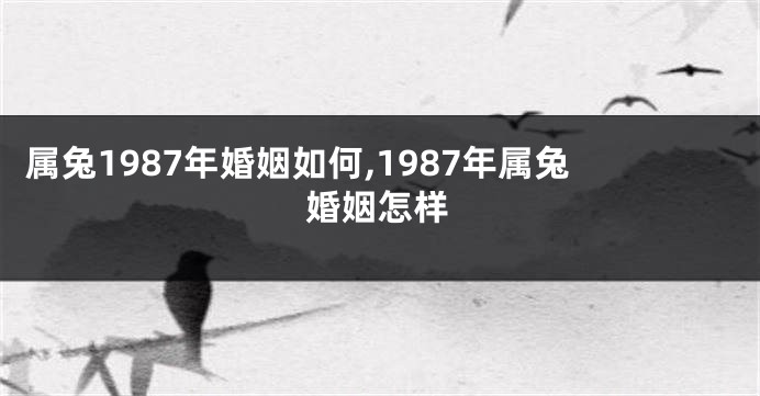 属兔1987年婚姻如何,1987年属兔婚姻怎样