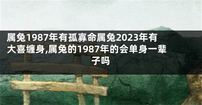 属兔1987年有孤寡命属兔2023年有大喜缠身,属兔的1987年的会单身一辈子吗