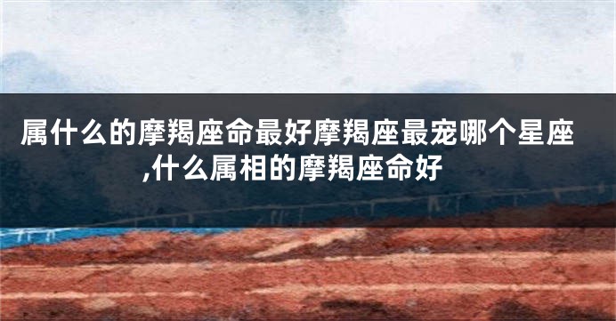 属什么的摩羯座命最好摩羯座最宠哪个星座,什么属相的摩羯座命好