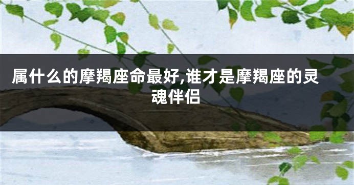 属什么的摩羯座命最好,谁才是摩羯座的灵魂伴侣