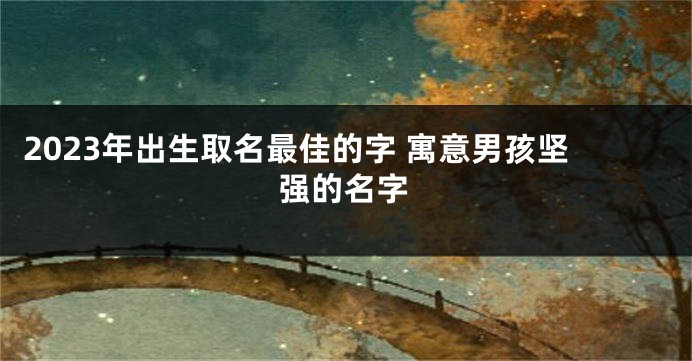 2023年出生取名最佳的字 寓意男孩坚强的名字