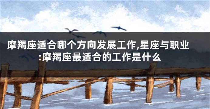 摩羯座适合哪个方向发展工作,星座与职业:摩羯座最适合的工作是什么