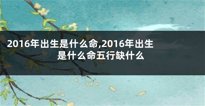 2016年出生是什么命,2016年出生是什么命五行缺什么