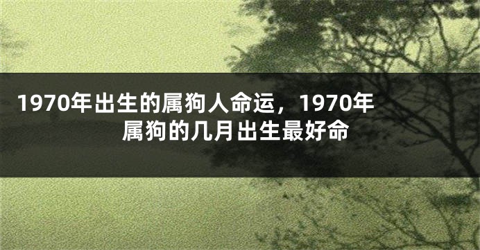 1970年出生的属狗人命运,1970年属狗的几月出生最好命