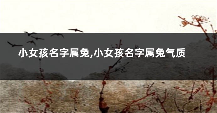 小女孩名字属兔,小女孩名字属兔气质