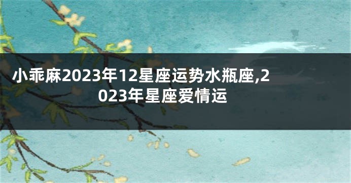 小乖麻2023年12星座运势水瓶座,2023年星座爱情运
