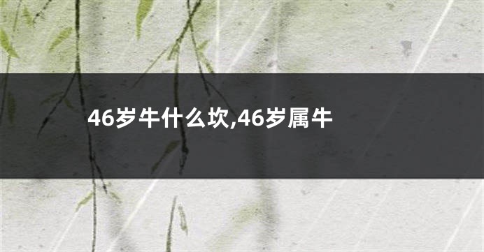 46岁牛什么坎,46岁属牛