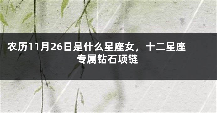 农历11月26日是什么星座女,十二星座专属钻石项链