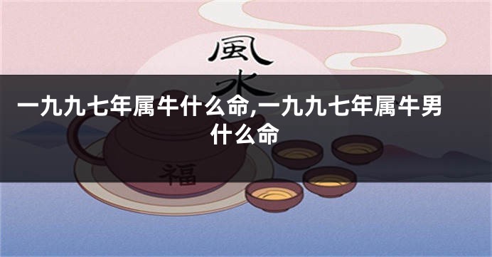 一九九七年属牛什么命,一九九七年属牛男什么命