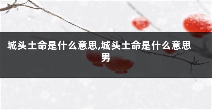 城头土命是什么意思,城头土命是什么意思男