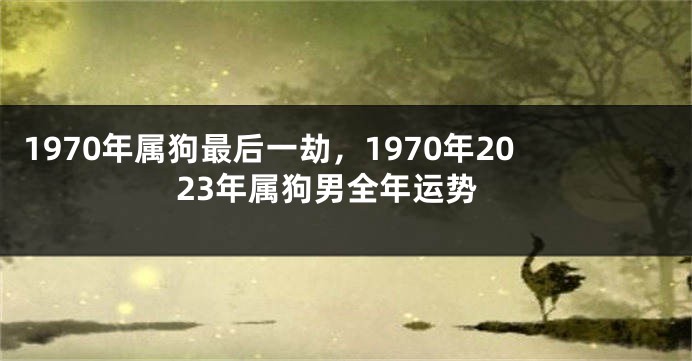 1970年属狗最后一劫,1970年2023年属狗男全年运势