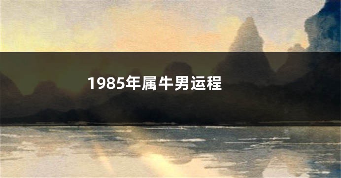 1985年属牛男运程