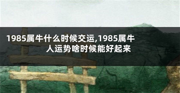 1985属牛什么时候交运,1985属牛人运势啥时候能好起来