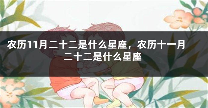 农历11月二十二是什么星座,农历十一月二十二是什么星座
