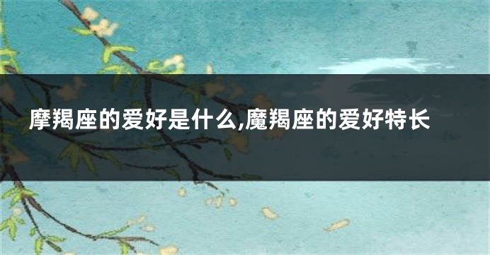 摩羯座的爱好是什么,魔羯座的爱好特长