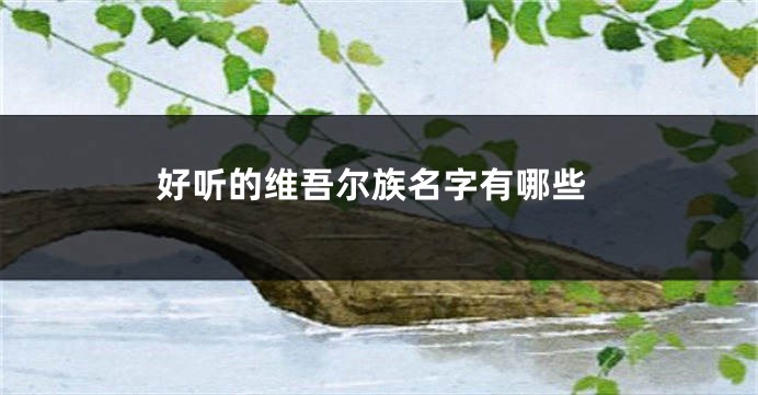 好听的维吾尔族名字有哪些