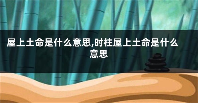屋上土命是什么意思,时柱屋上土命是什么意思