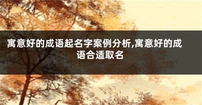 寓意好的成语起名字案例分析,寓意好的成语合适取名