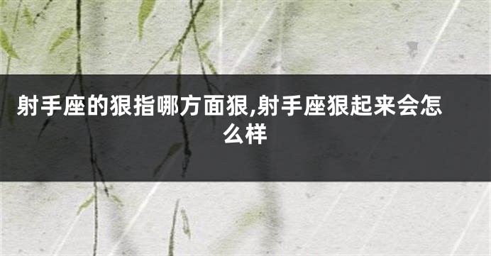 射手座的狠指哪方面狠,射手座狠起来会怎么样