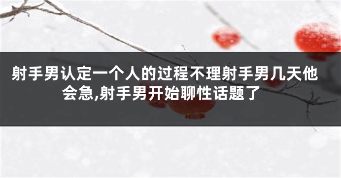 射手男认定一个人的过程不理射手男几天他会急,射手男开始聊性话题了